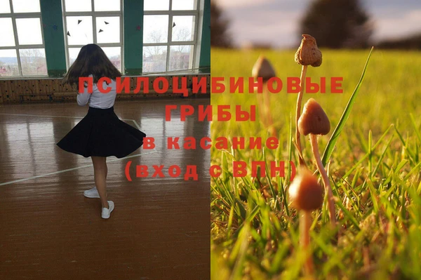 дживик Зеленодольск