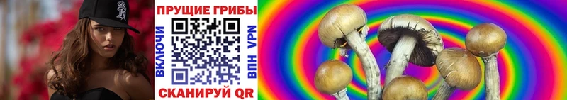 Купить  Уяр  Галлюциногенные грибы MAGIC MUSHROOMS 